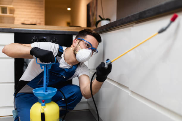 Best Rat Extermination Near Me  in Germantown, IL