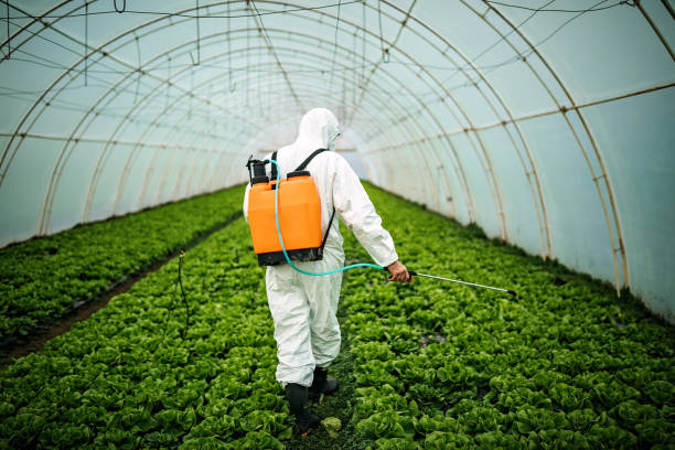 Best Commercial Pest Control Services  in Germantown, IL