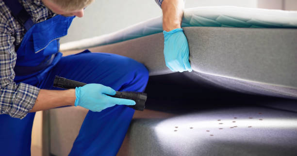 Best Mosquito Control Services  in Germantown, IL