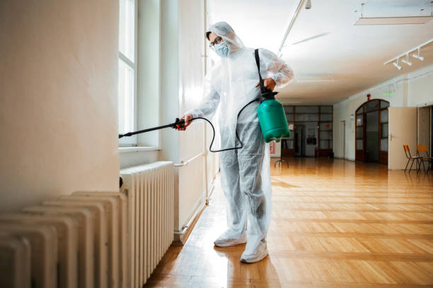 Best Wasp Removal Services  in Germantown, IL