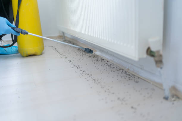 Best Pest Control Near Me  in Germantown, IL