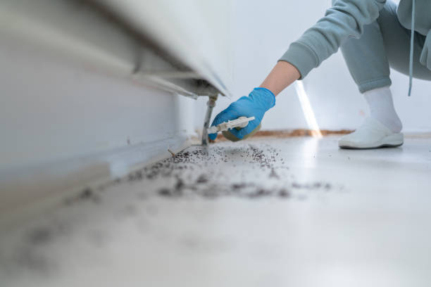 Best Ant Control Services  in Germantown, IL