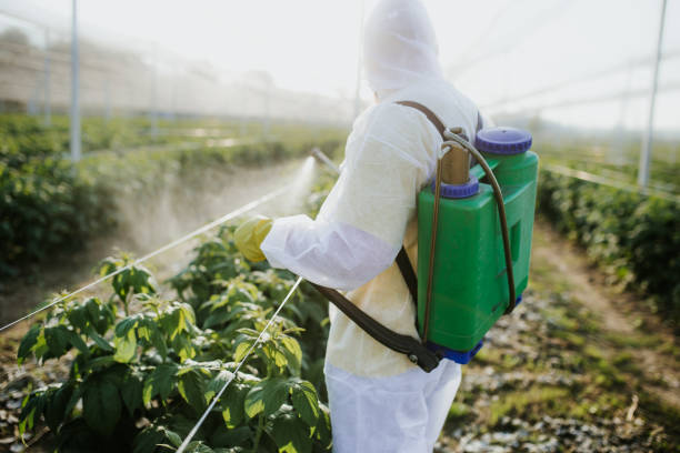 Best Commercial Pest Control Services  in Germantown, IL